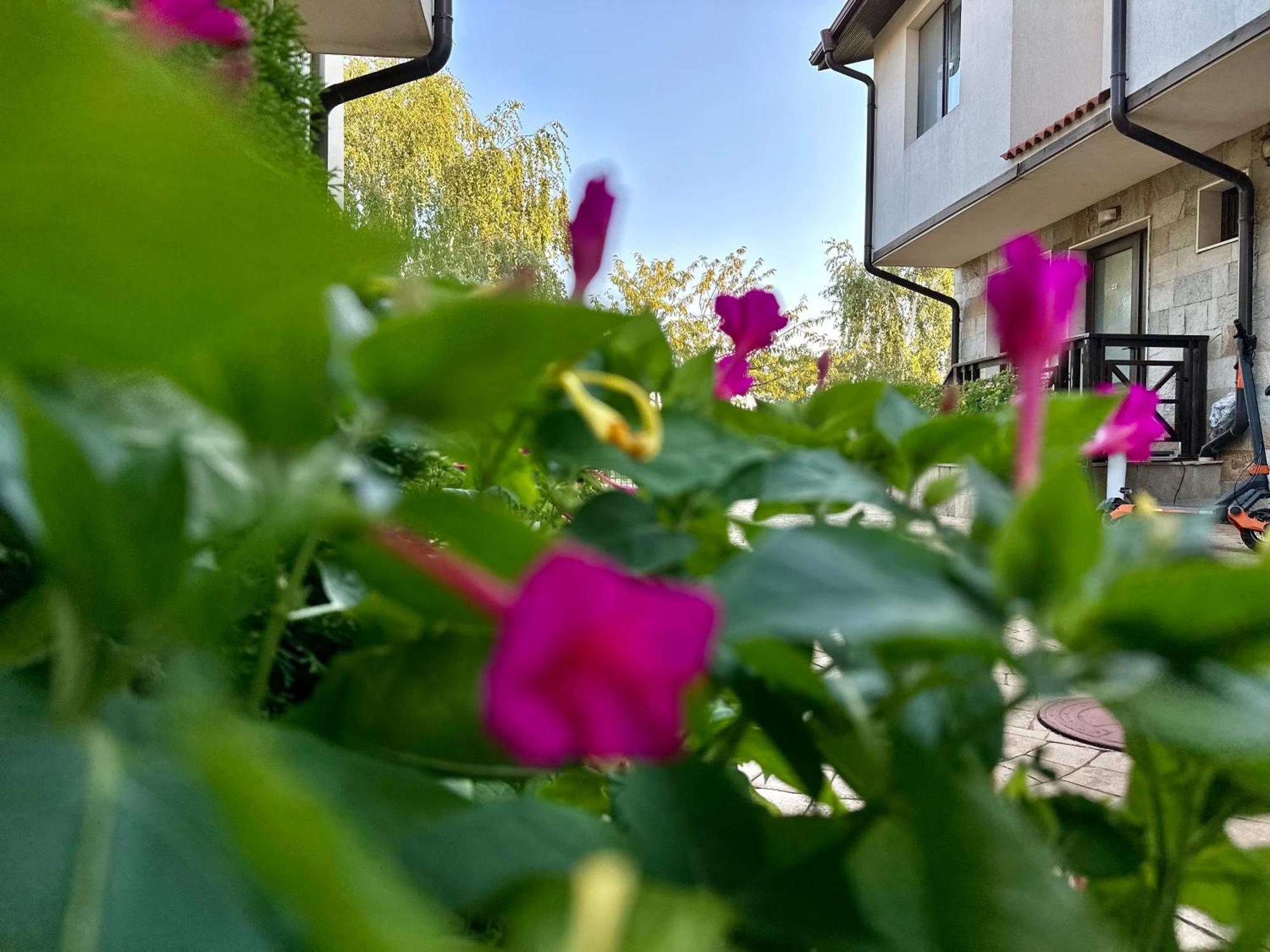 Menada Imperial Heights Villas Slantschew brjag Exterior foto